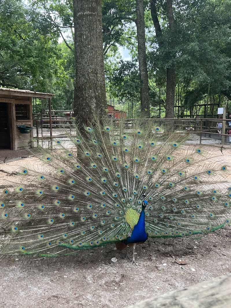 Zoosiana photo 3