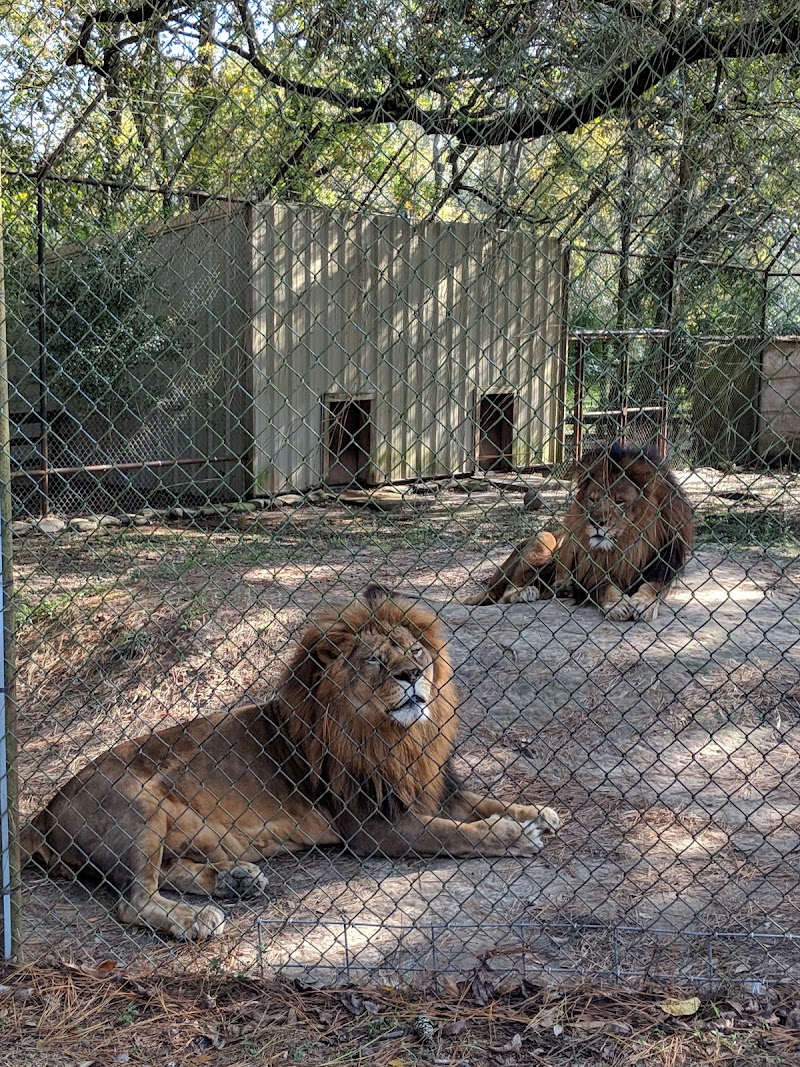 Zoosiana photo 2
