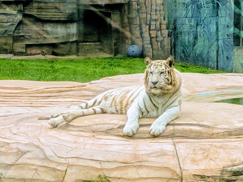 Zoosiana photo 4