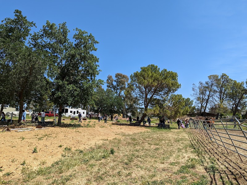 Pine Trails Ranch photo 5