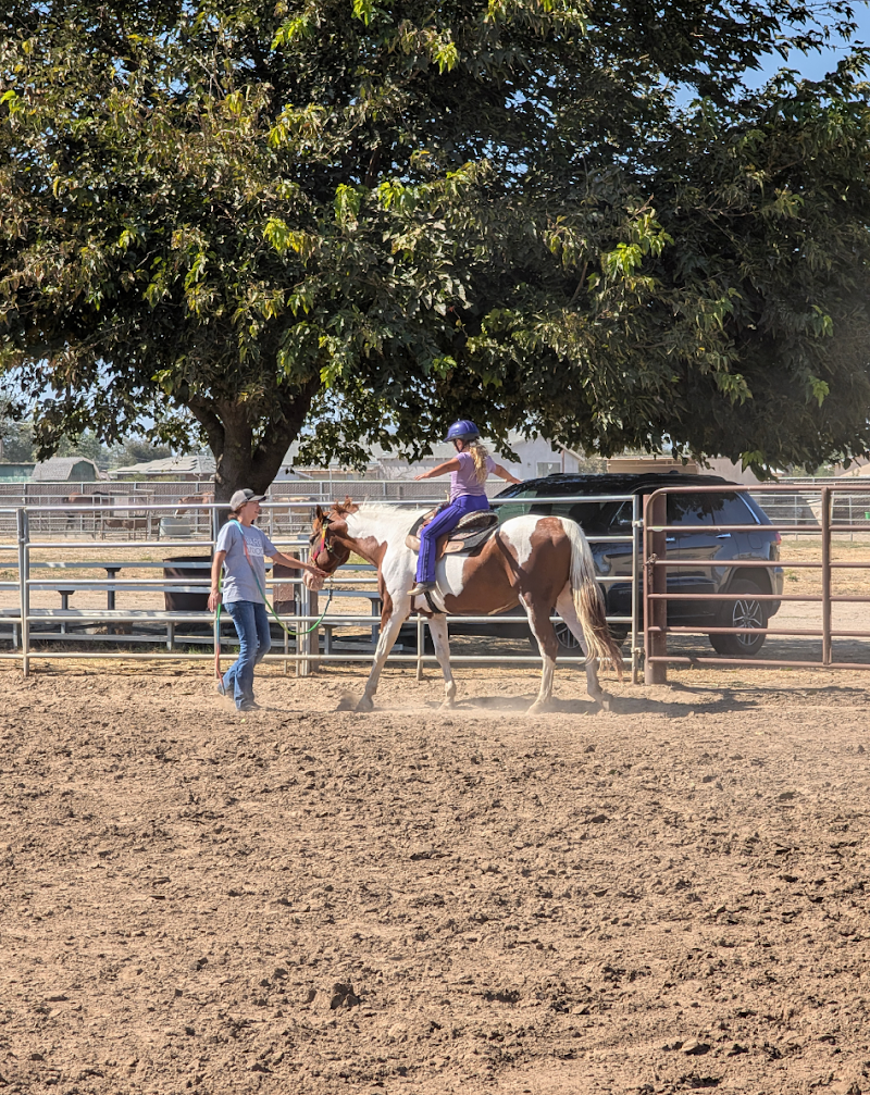 Prancing Princess Pony photo 3