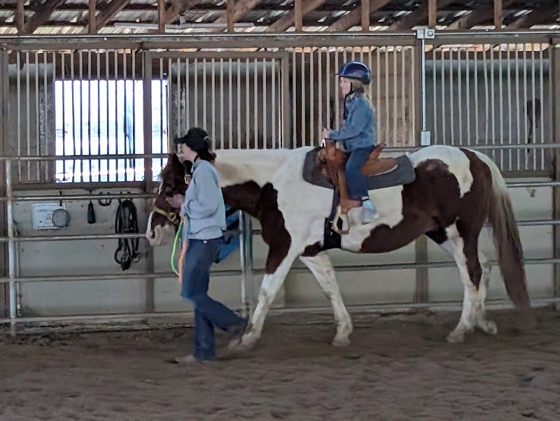 Prancing Princess Pony photo 2