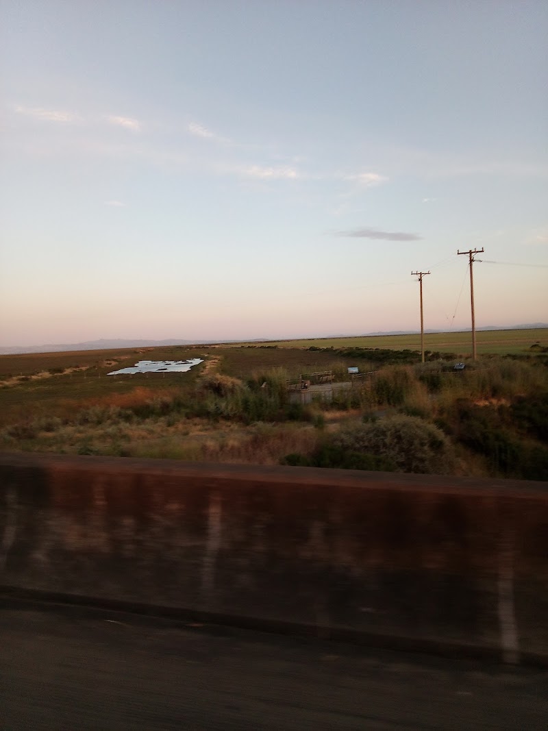 Photo of Sonoma Creek Bridge