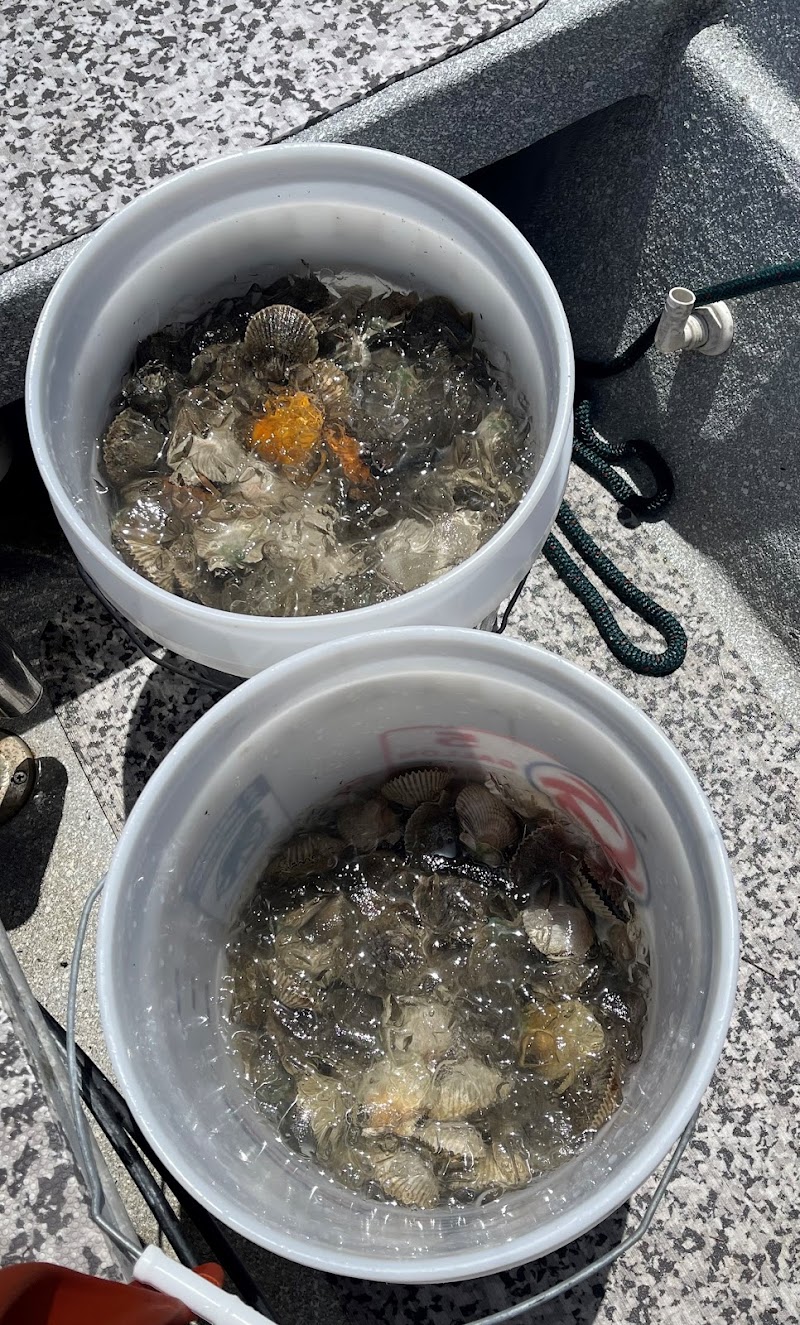 Scallop Charters & More photo 3