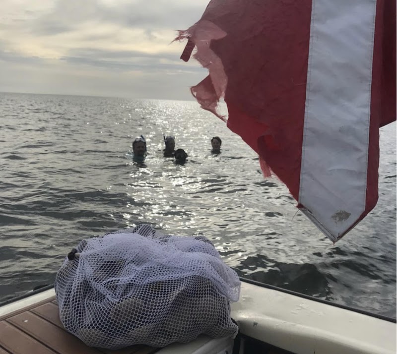 Scallop Charters & More photo 5