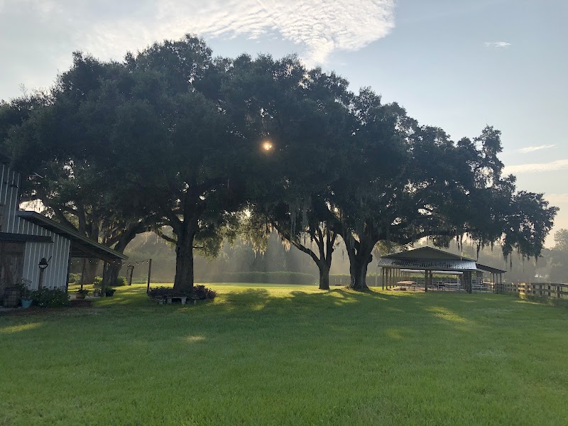 Triple C Ranch photo 5
