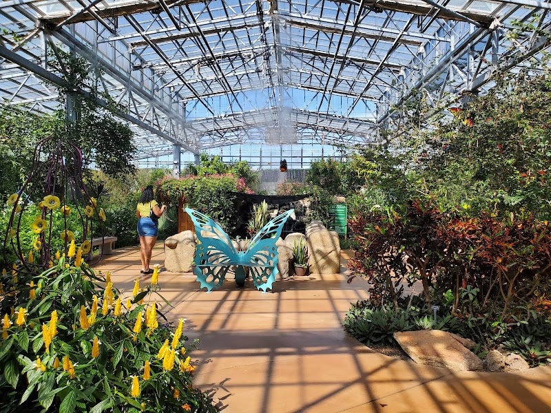 Butterfly Wonderland photo 2