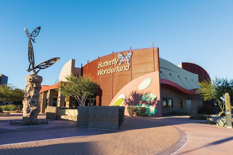 Photo of Butterfly Wonderland
