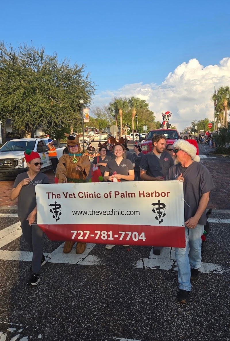 The Vet Clinic of Palm Harbor photo 5