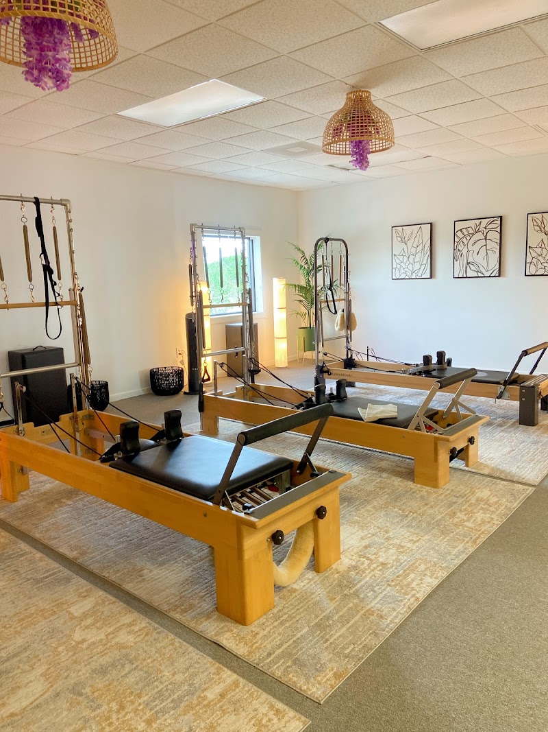 Dunedin Pilates photo 3
