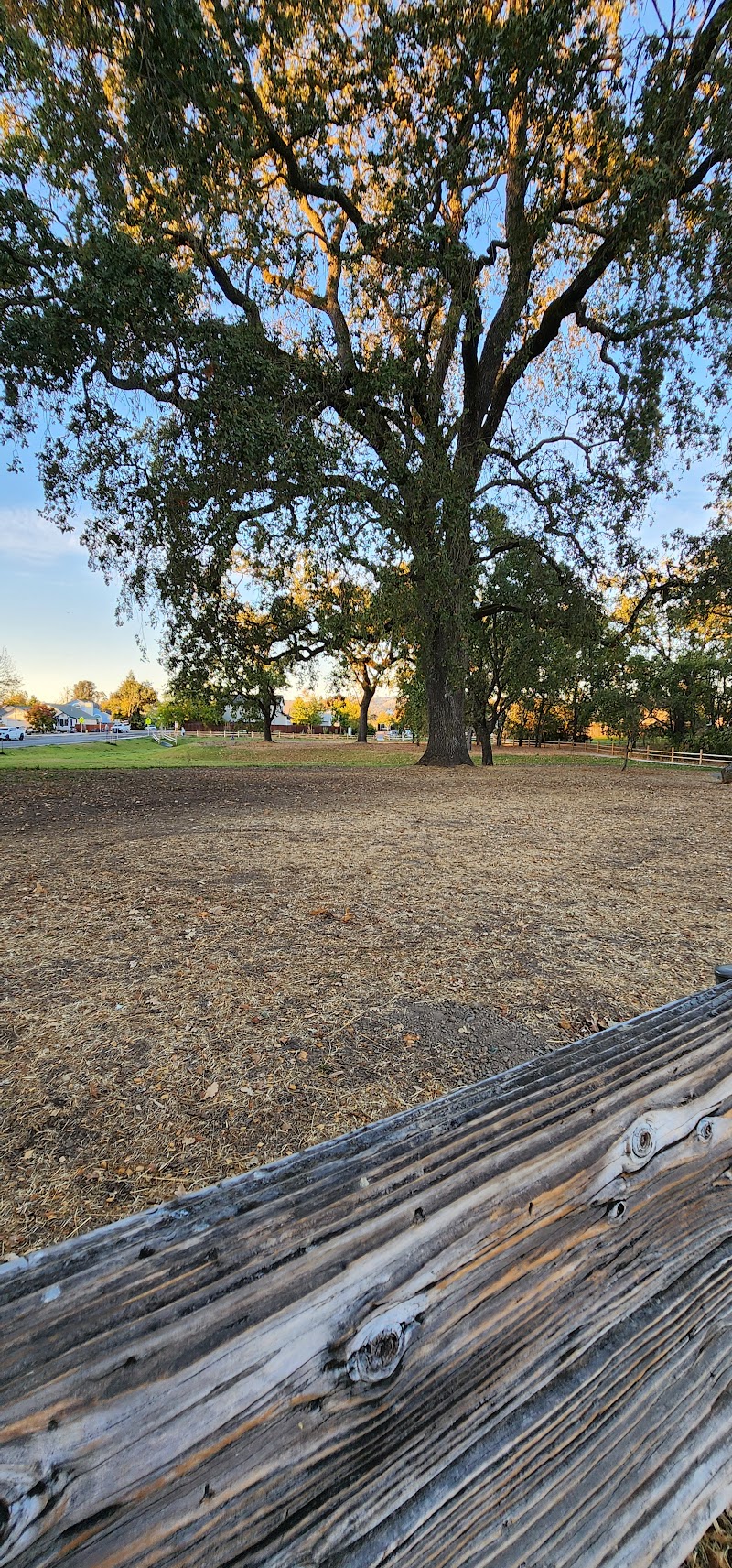Photo of Michael A. Hall Park
