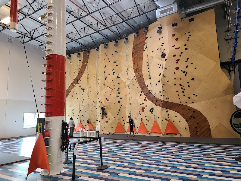 Gravity Extreme Zone Trampoline and Adventure Park photo 5