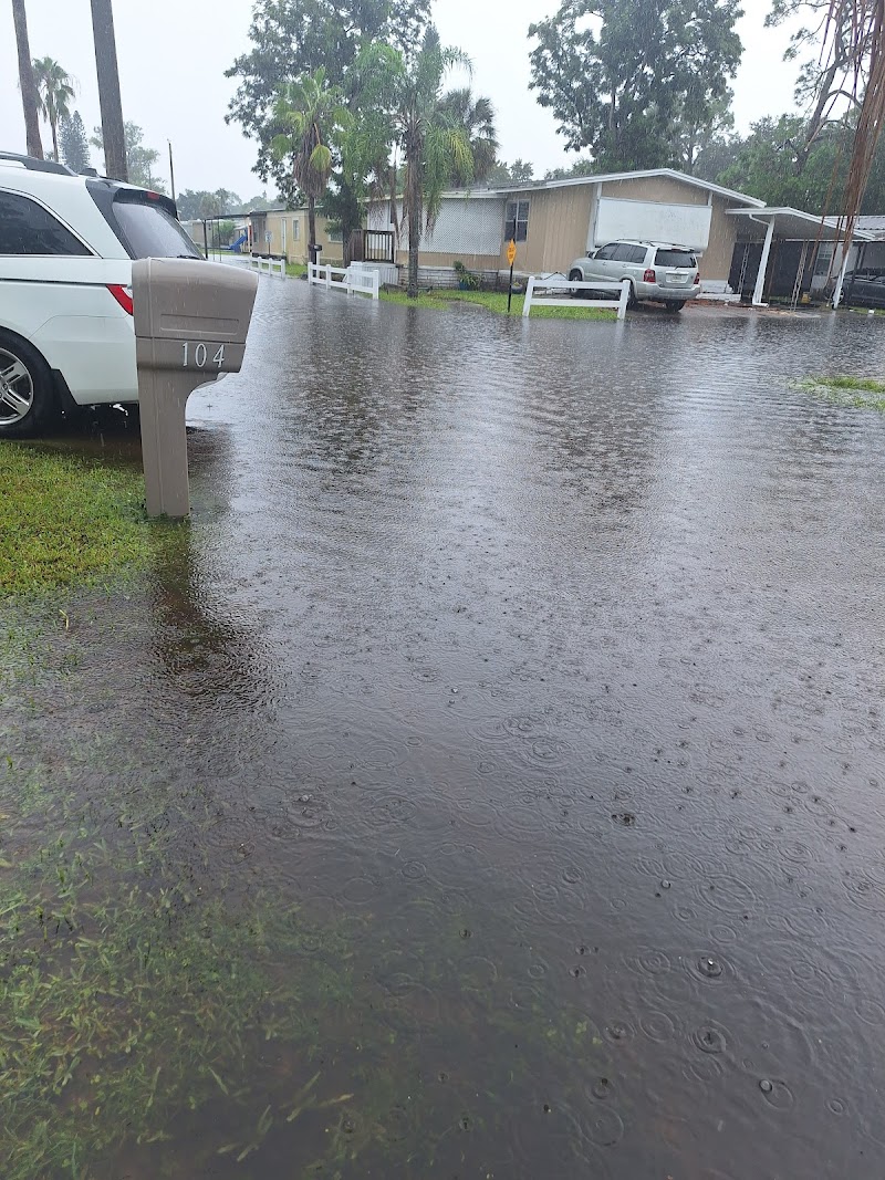 Eastwood Estates photo 4