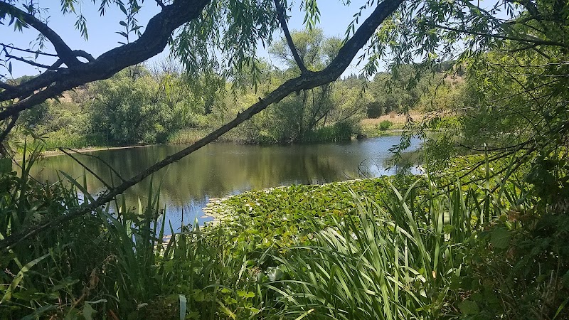 Russian River Overlook photo 5