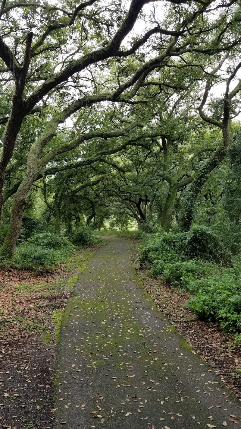 Withlacoochee River Park Tower photo 4