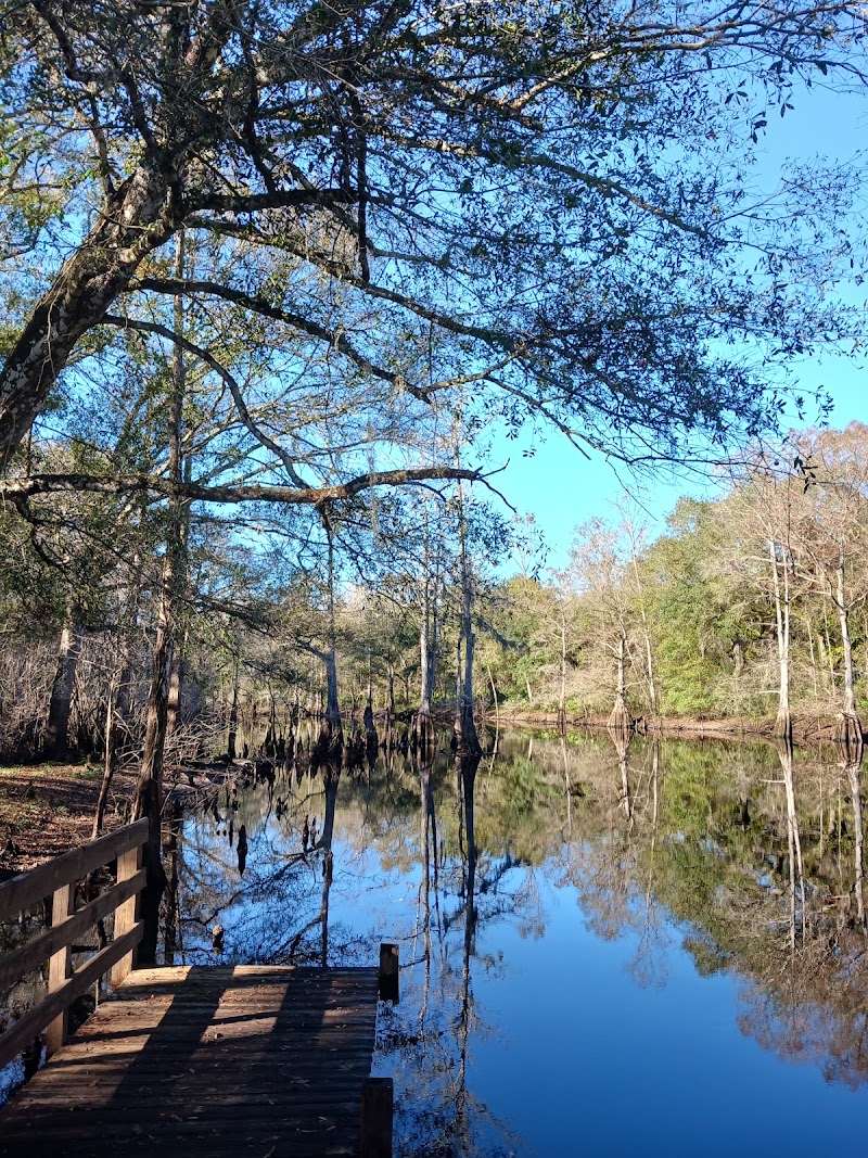 Withlacoochee River Park Tower photo 5
