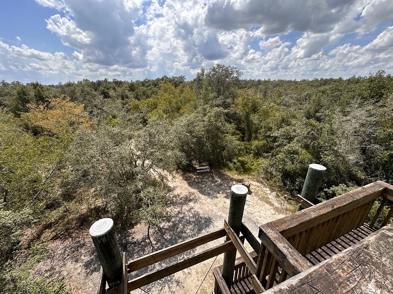 Withlacoochee River Park Tower photo 3