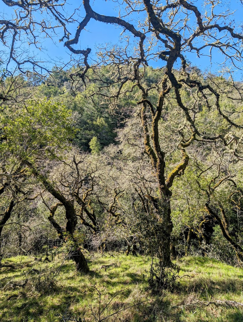 Cascade Canyon Open Space Preserve Trail Head photo 4
