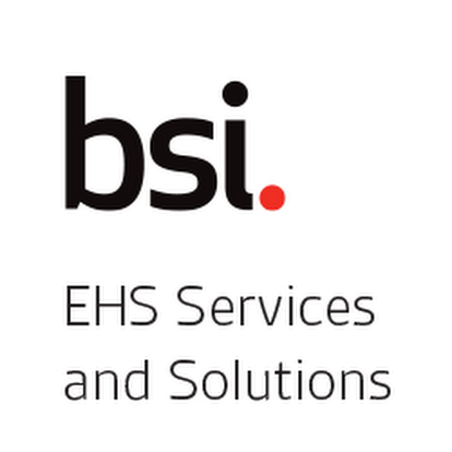 BSI Consulting Services and Solutions photo 2