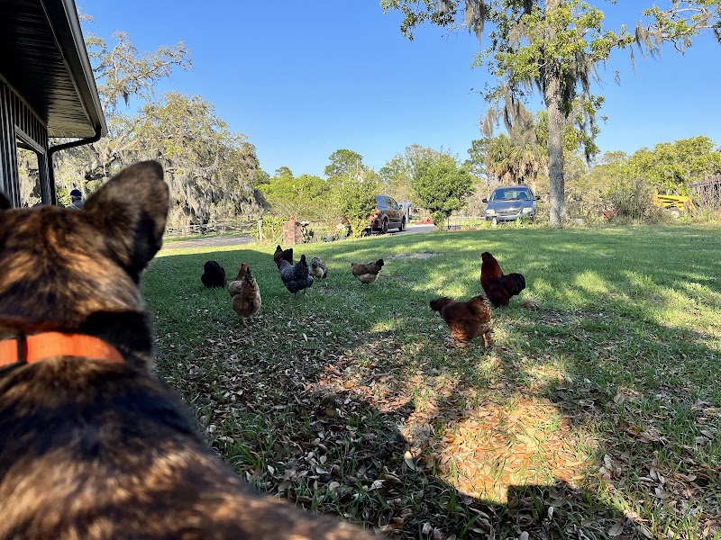 Photo of The Hivery And Potager At Heaven On Earth Ranch