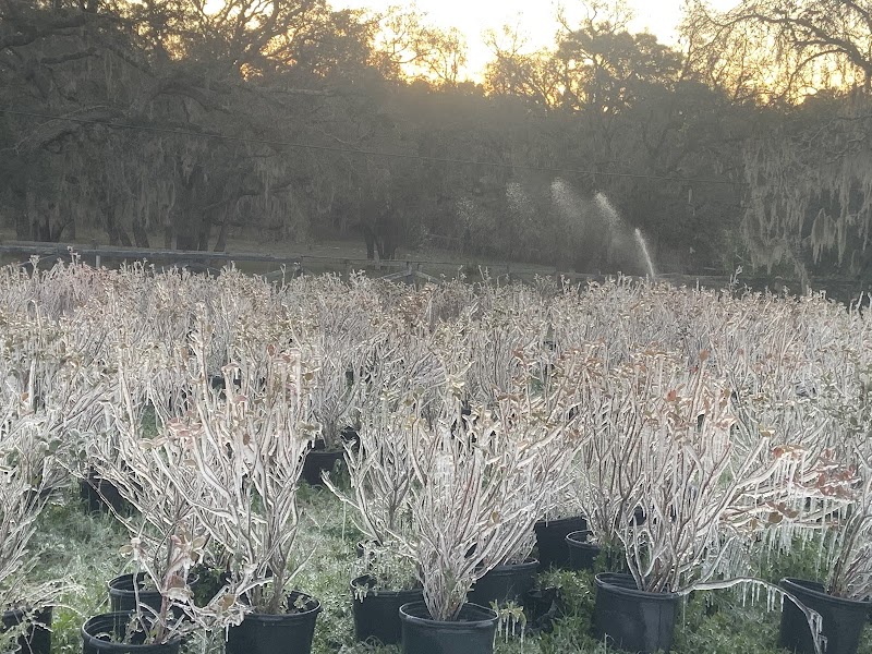 The Hivery And Potager At Heaven On Earth Ranch photo 4