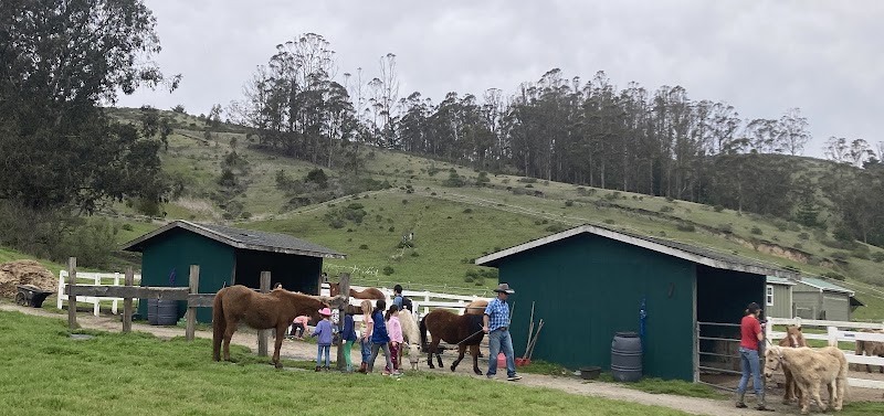 Lazy H Ranch photo 5
