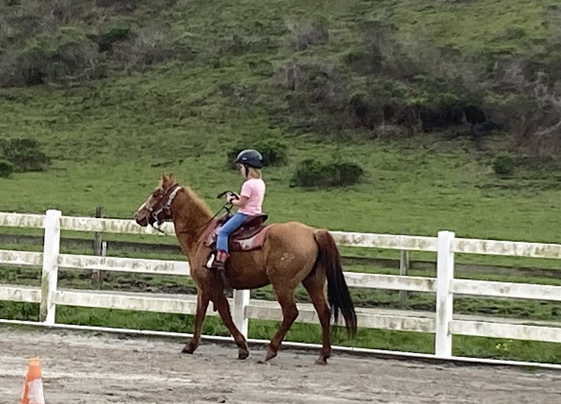 Photo of Lazy H Ranch