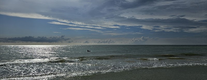 Indian Rocks Beach photo 3
