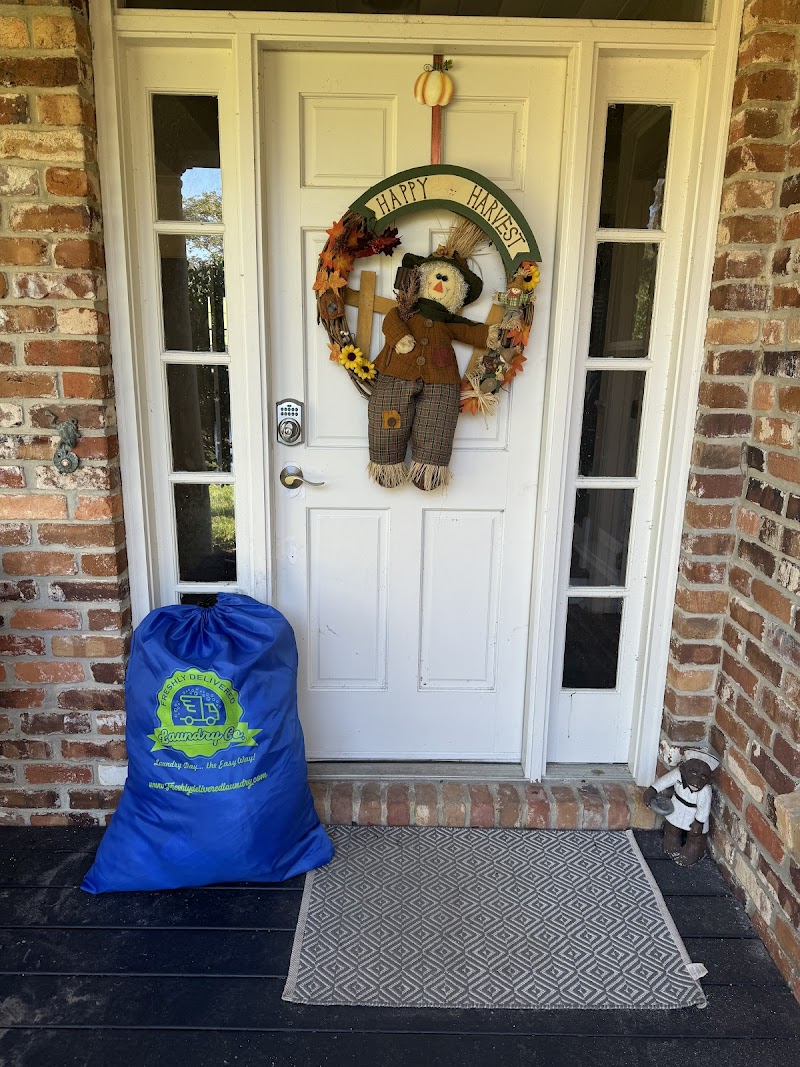 Freshly Delivered Laundry Co. photo 2