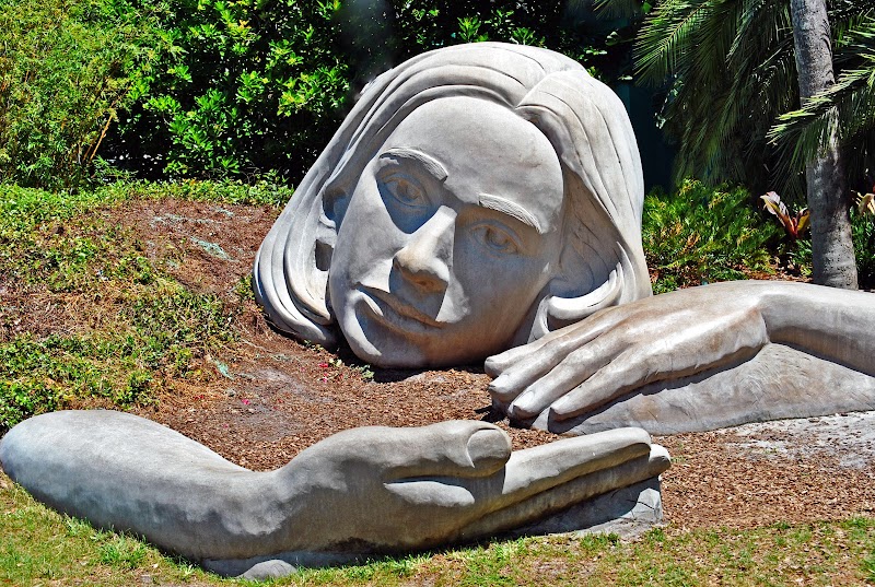 Muse of Discovery photo 2