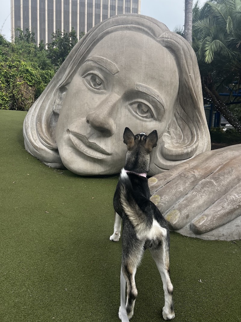 Muse of Discovery photo 3