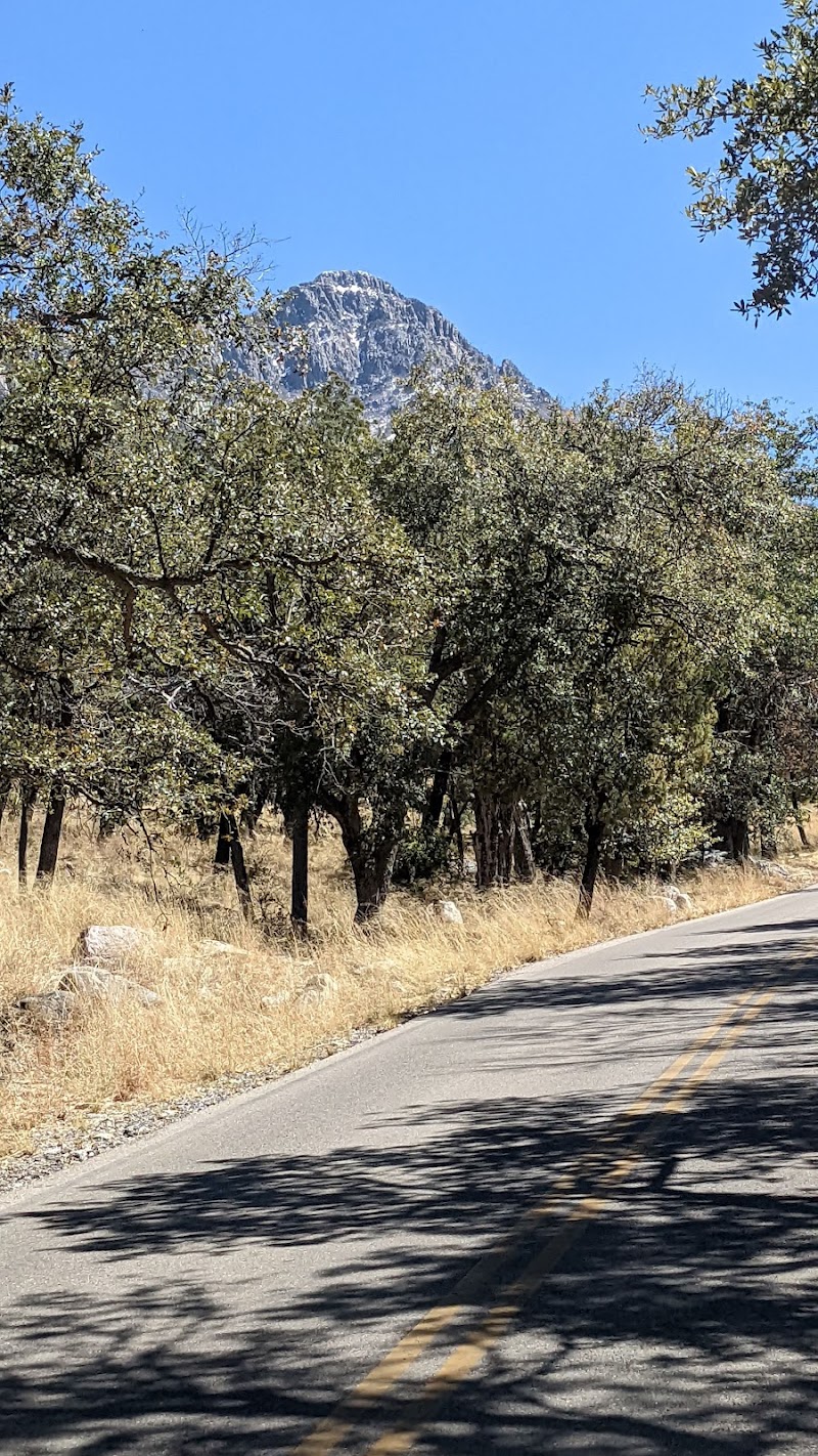 Mt. Wrightson Picnic Area photo 5