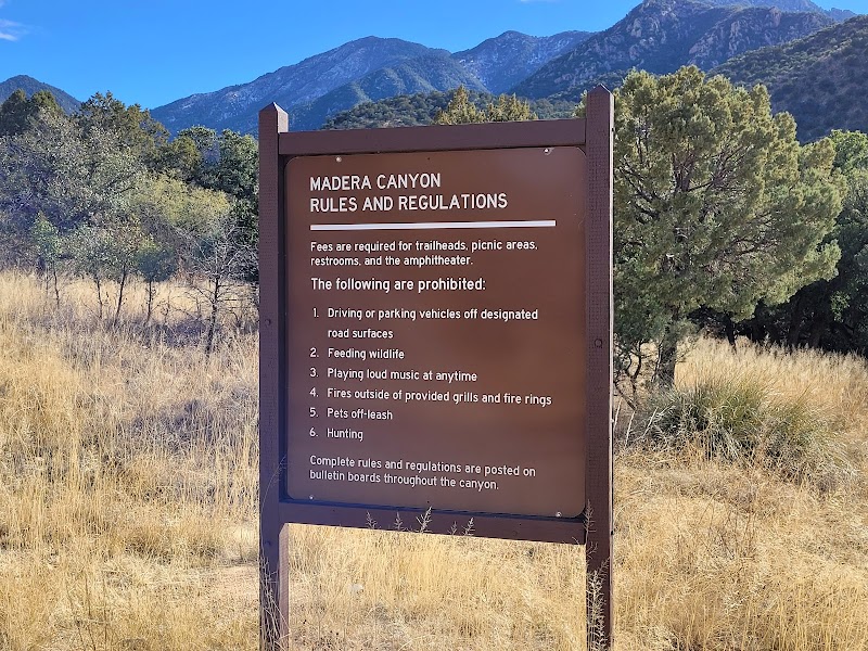 Mt. Wrightson Picnic Area photo 4