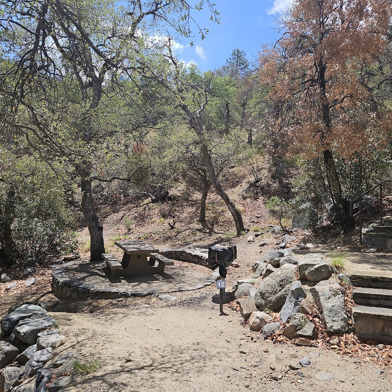 Mt. Wrightson Picnic Area photo 2
