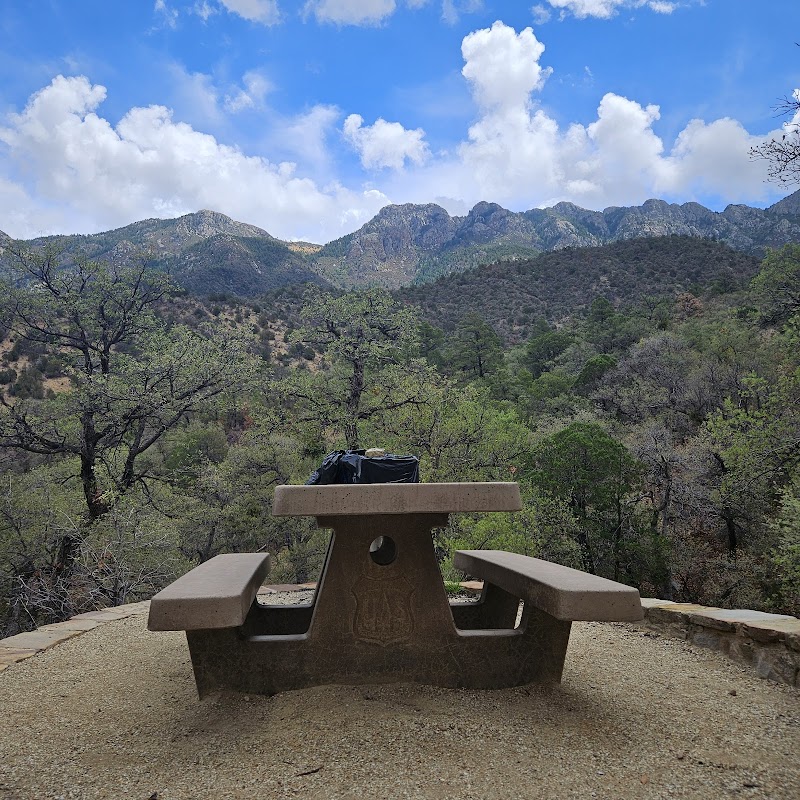 Photo of Mt. Wrightson Picnic Area
