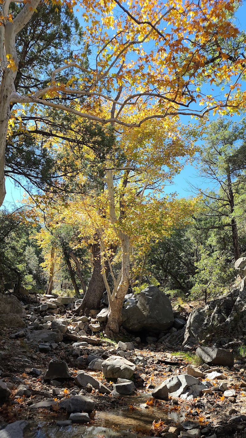 Mt. Wrightson Picnic Area photo 3