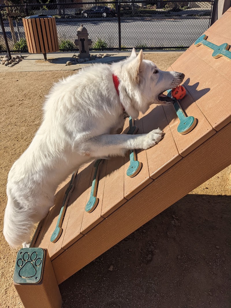Newbark Dog Park photo 3