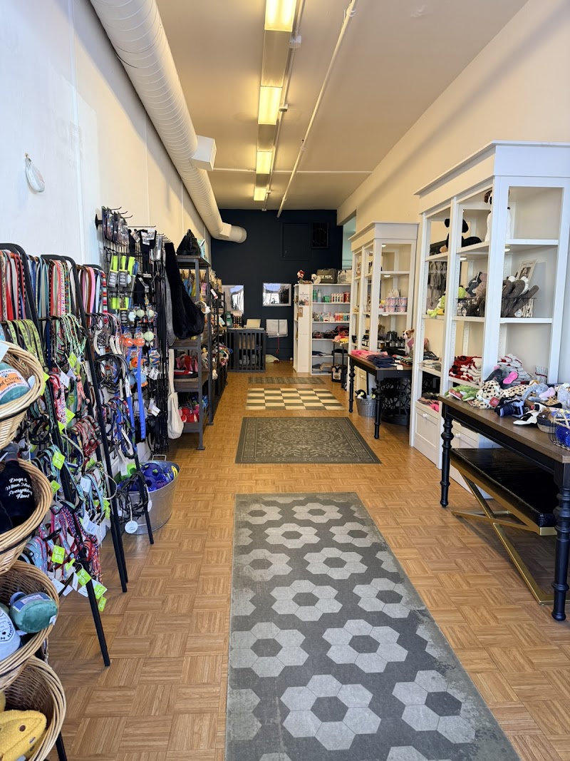 Woof! photo 2