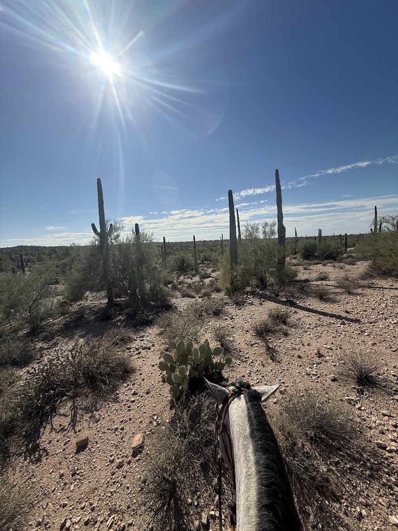 Posh Canyon Trail Rides photo 2
