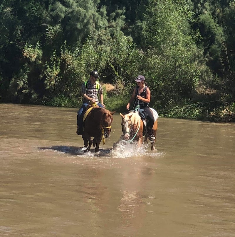 Posh Canyon Trail Rides photo 4