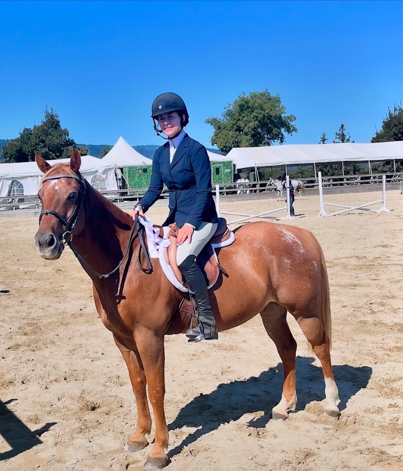 Peninsula Equestrian Academy photo 5