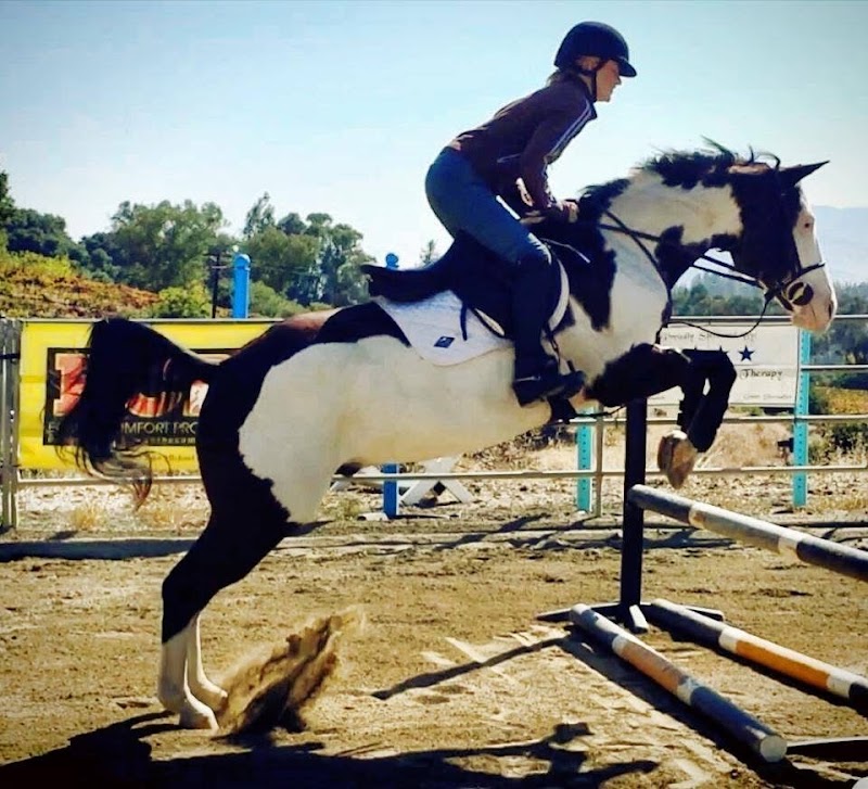Photo of Peninsula Equestrian Academy