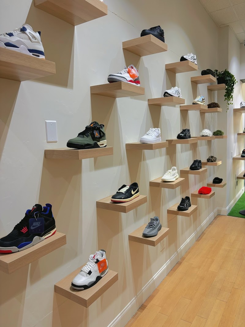 COPPED photo 4