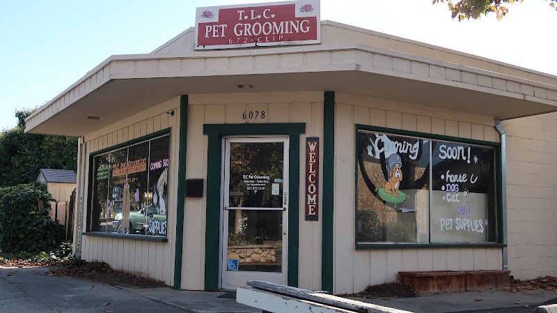 TLC Pet Grooming photo 2