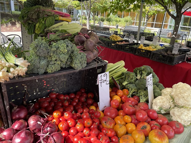 Kaiser Vacaville Farmers Market photo 4