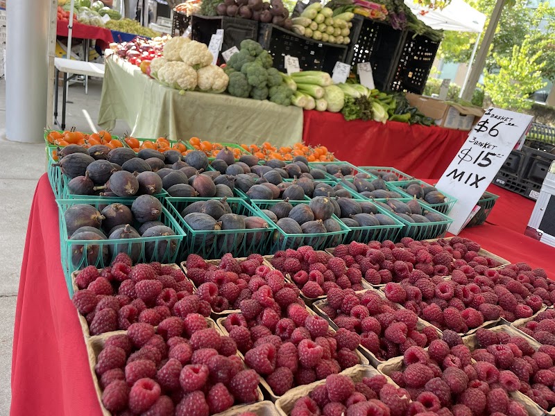 Kaiser Vacaville Farmers Market photo 5