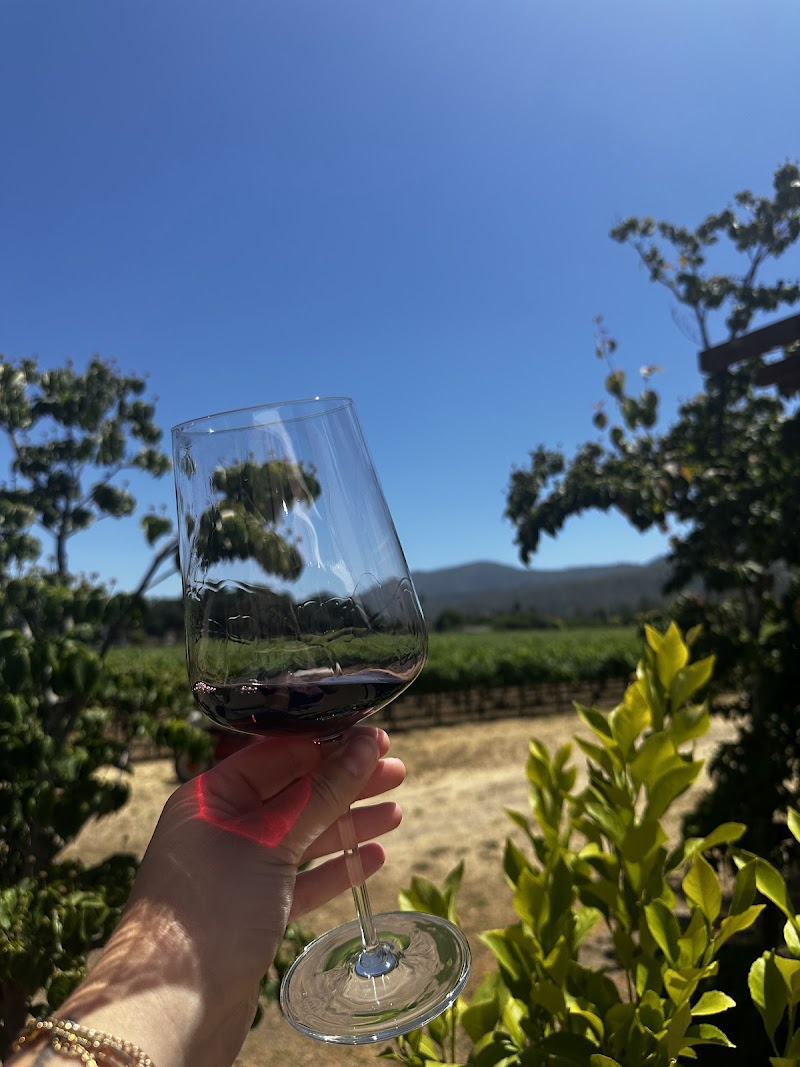Salvestrin Winery photo 3