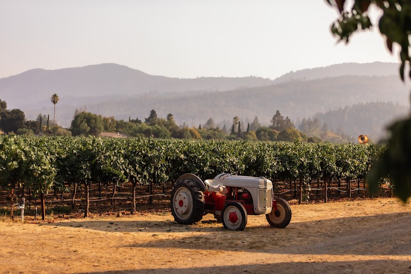 Salvestrin Winery photo 2