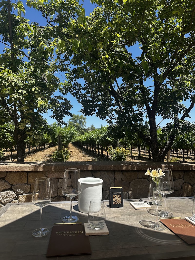 Salvestrin Winery photo 4