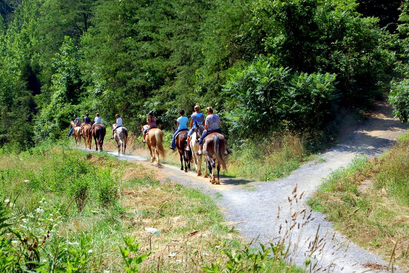 Photo of Smoky Mountain Deer Farm and Exotic Petting Zoo